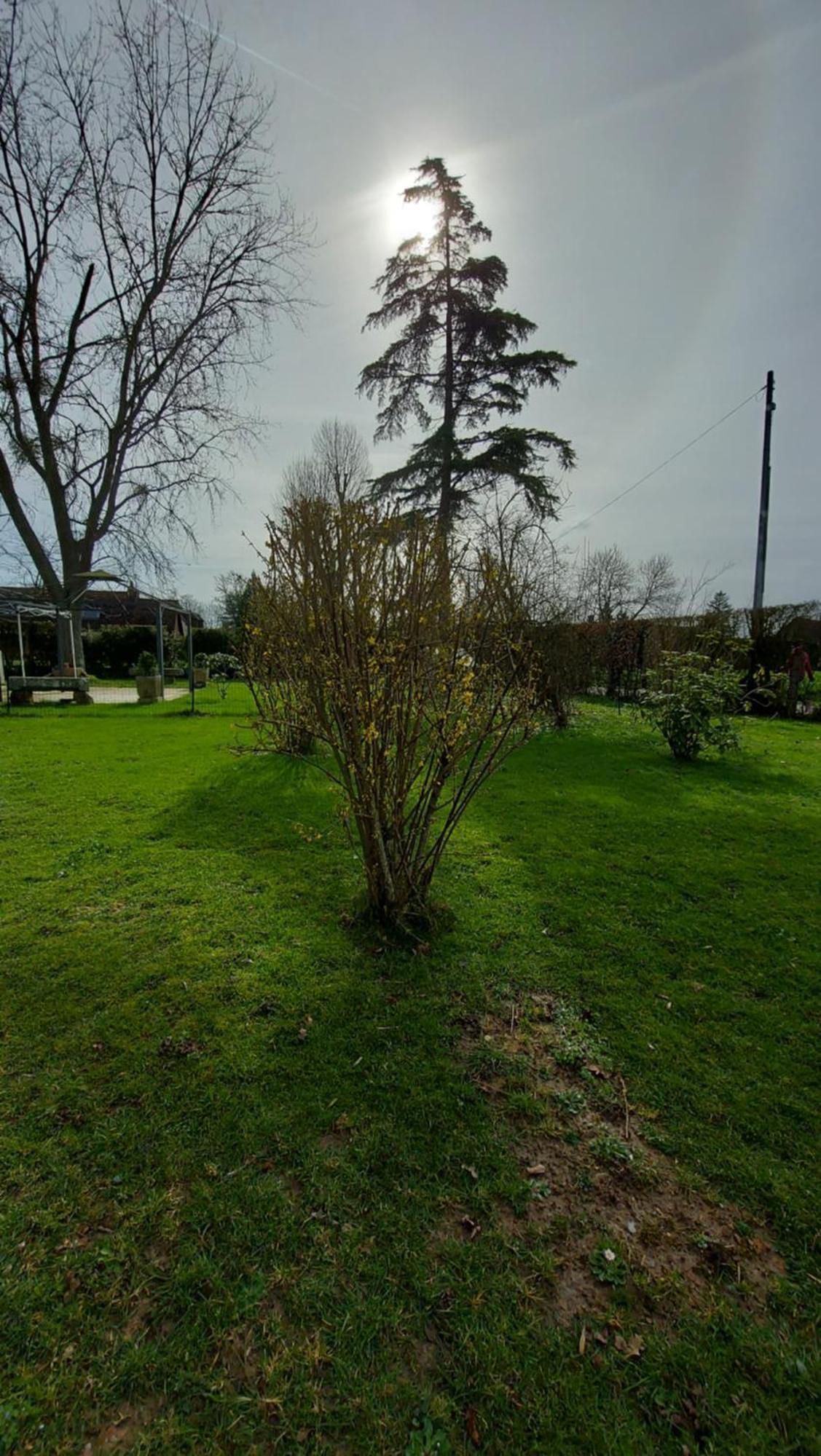 Villa Maella Saint-Michel-Tuboeuf Buitenkant foto