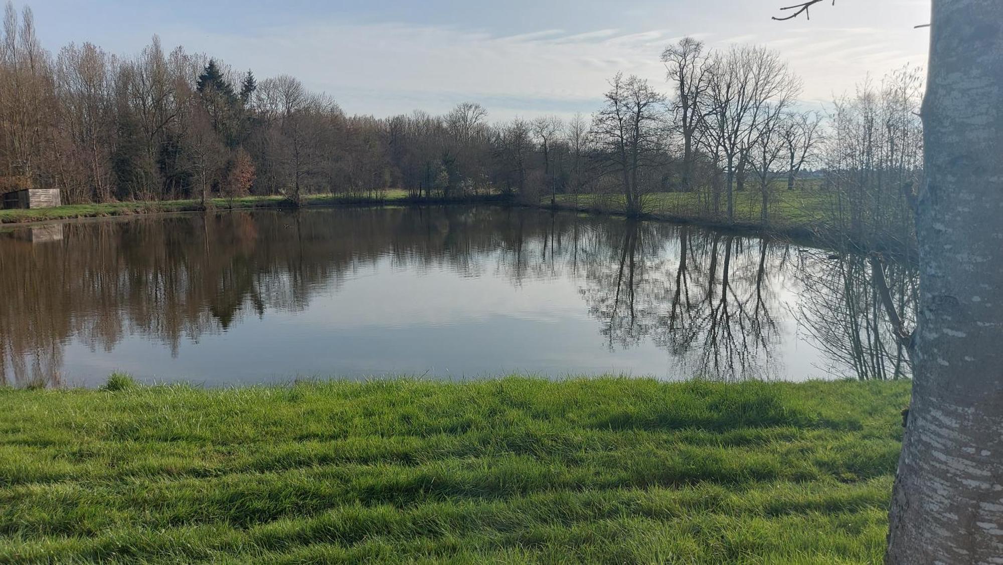 Villa Maella Saint-Michel-Tuboeuf Buitenkant foto